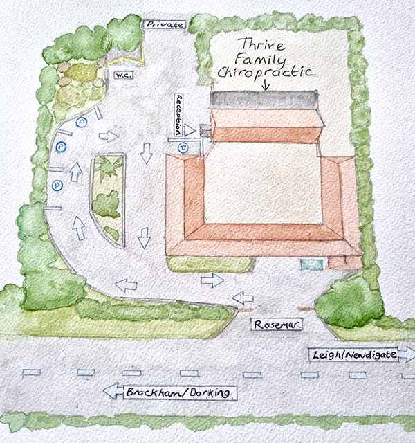Thrive Watercolour map linking to video of walk up